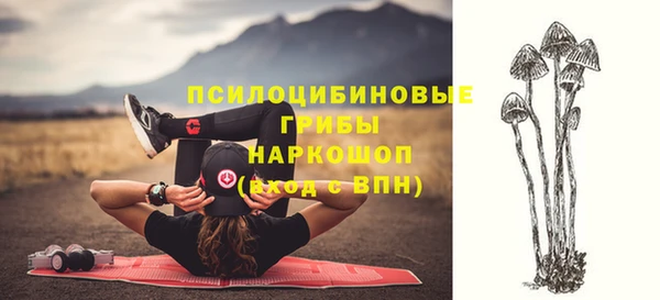 метадон Аркадак